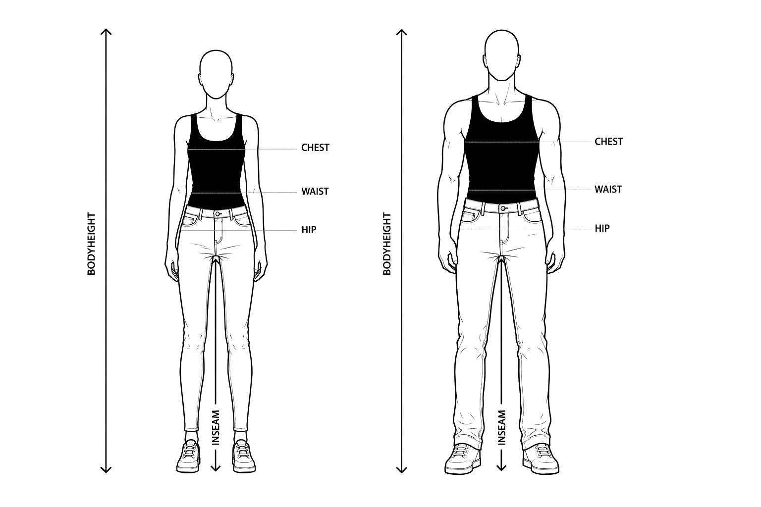 Measuring guide — chest, waist, hip, inseam and body height reference