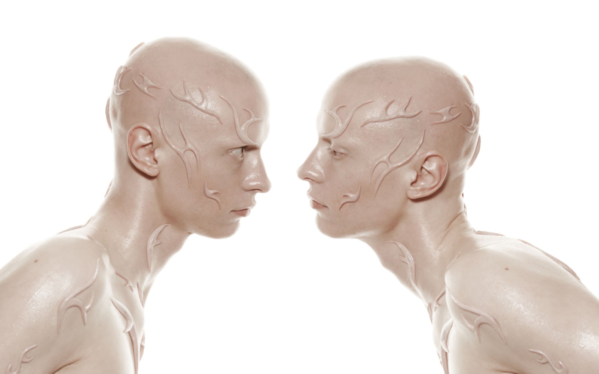 Angus Della Bosca — Mother Agency portfolio image 15