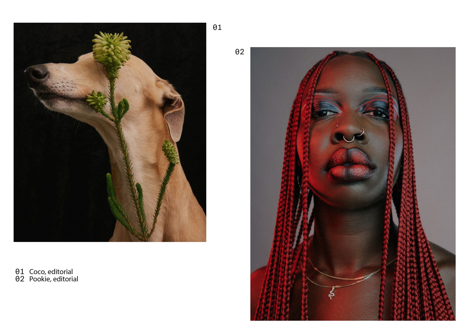 Jesper Hede — Mother Agency portfolio image 16